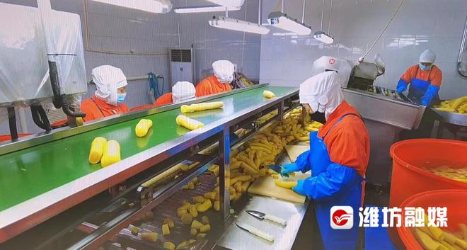 预制菜订单火爆，企业生产排期已至五月